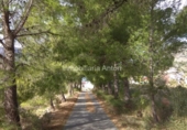 Земля, подлежащая урбанизации на продажу у города Callosa d'en Sarrià. Фото