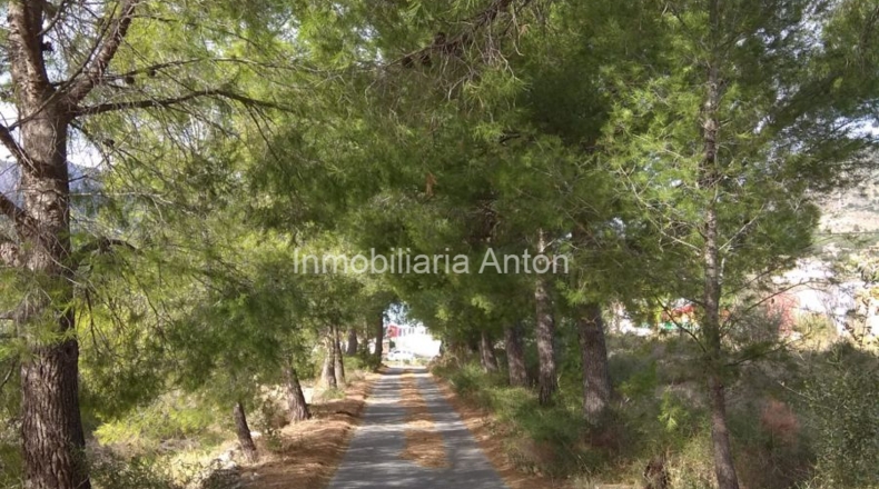 Alicante - Callosa de Ensarriá - 10900m2
