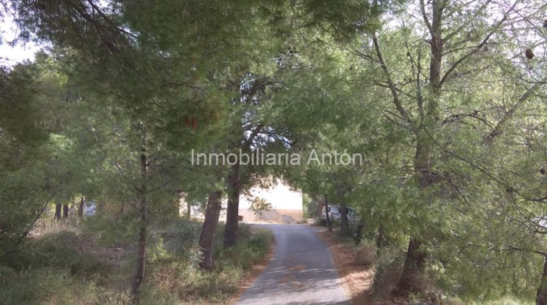 Alicante - Callosa de Ensarriá - 10900m2