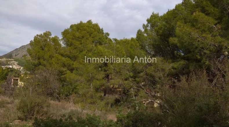 Alicante - Callosa de Ensarriá - 10900m2