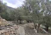 Terreno no urbanizable en venta en Beniardà ref: TR110101 foto