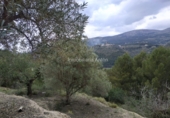 Terreno no urbanizable en venta en Beniardà ref: TR110101 foto
