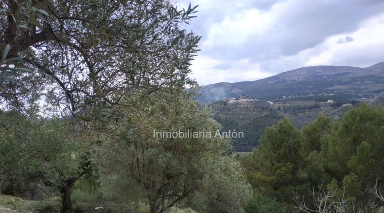 Alicante - Beniardá - 10467m2