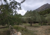 Terreno no urbanizable en venta en Beniardà ref: TR110101 foto