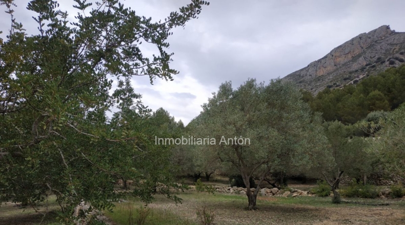 Alicante - Beniardá - 10467m2