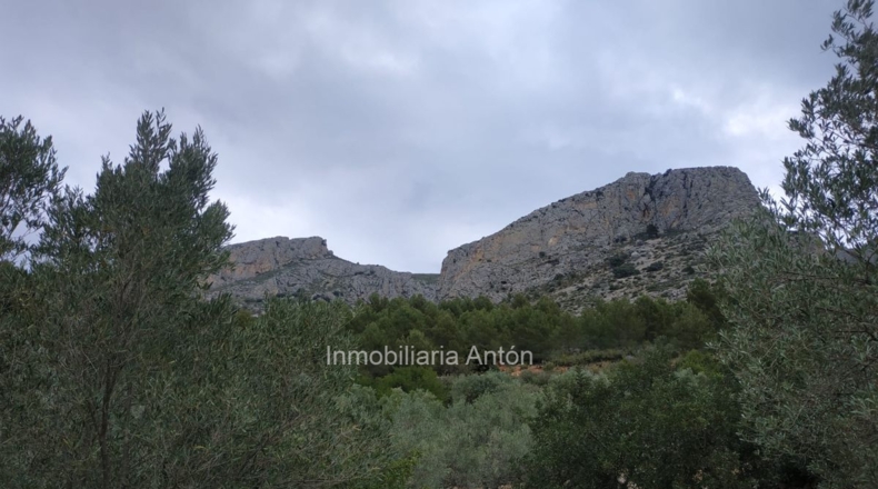 Alicante - Beniardá - 10467m2