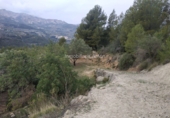 Terreno no urbanizable en venta en Beniardà ref: TR110101 foto
