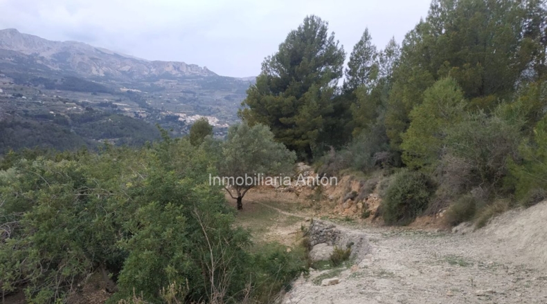 Alicante - Beniardá - 10467m2
