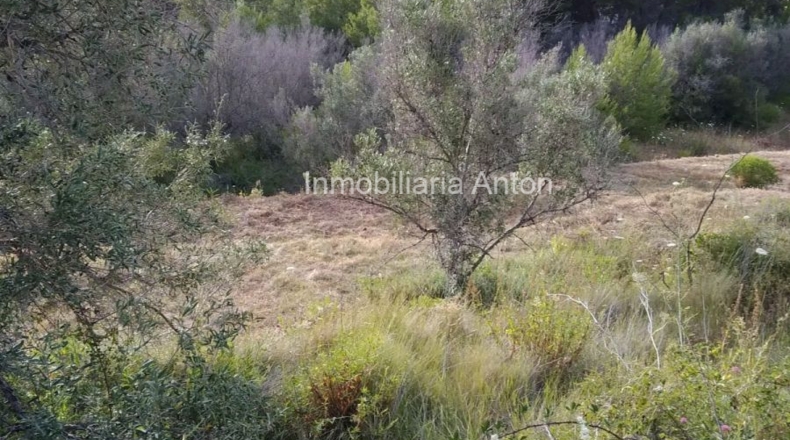 Alicante - Tárbena - 2500m2