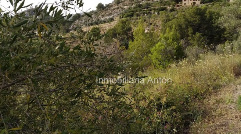 Alicante - Tárbena - 2500m2