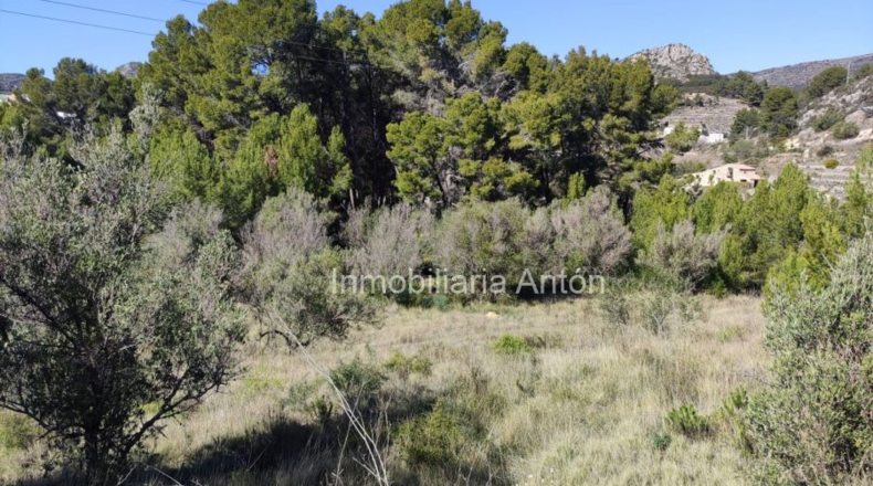 Alicante - Tárbena - 2500m2