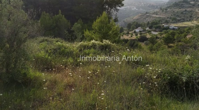Alicante - Tárbena - 2500m2