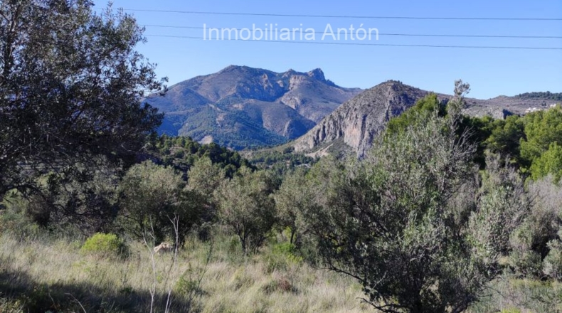Alicante - Tárbena - 2500m2