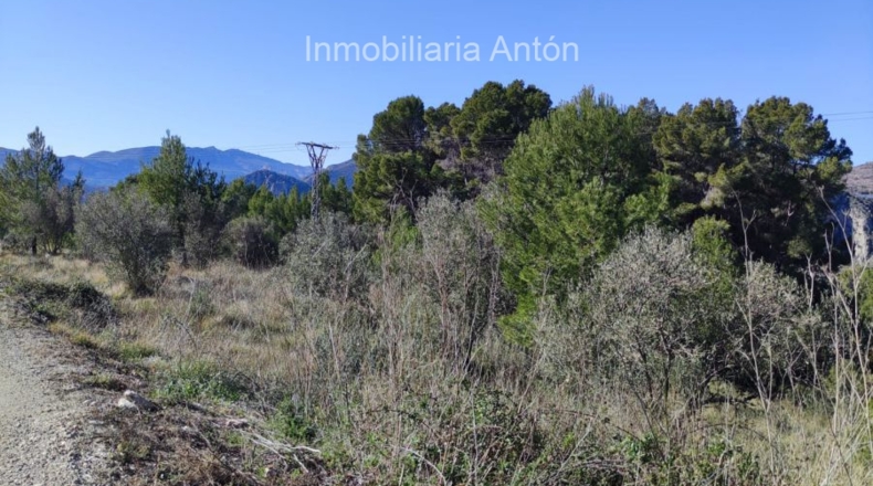 Alicante - Tárbena - 2500m2