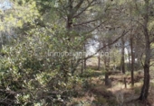 Non-developable land for sale in Callosa d'en Sarrià ref: TR69091 photo