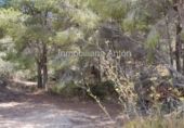 Non-developable land for sale in Callosa d'en Sarrià ref: TR69091 photo
