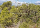 Non-developable land for sale in Callosa d'en Sarrià ref: TR69091 photo