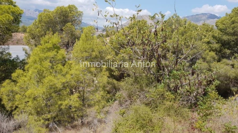 Alicante - Callosa de Ensarriá - 14428m2