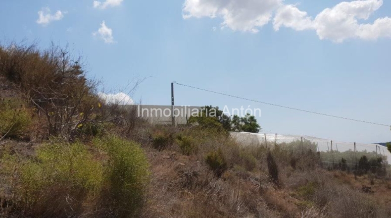 Alicante - Callosa de Ensarriá - 14428m2