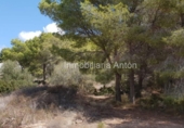 Non-developable land for sale in Callosa d'en Sarrià ref: TR69091 photo