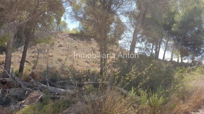 Alicante - Callosa de Ensarriá - 14428m2