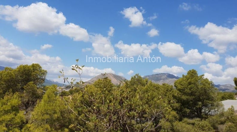 Alicante - Callosa de Ensarriá - 14428m2