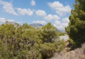 Non-developable land for sale in Callosa d'en Sarrià ref: TR69091 photo