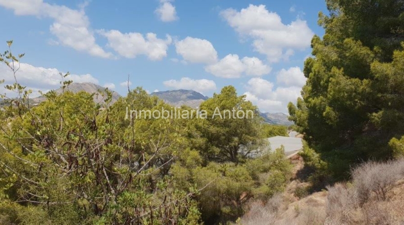 Alicante - Callosa de Ensarriá - 14428m2