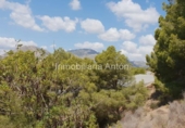 Non-developable land for sale in Callosa d'en Sarrià ref: TR69091 photo