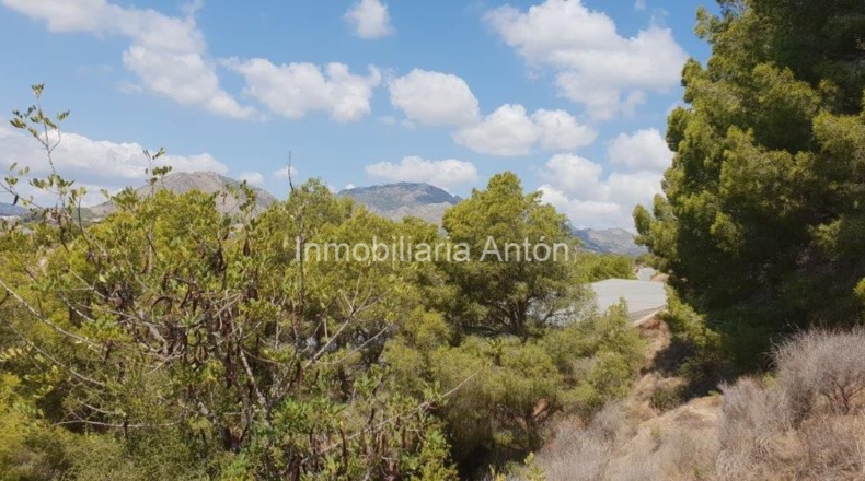 Alicante - Callosa de Ensarriá - 14428m2