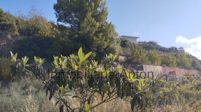 Alicante - Bolulla - 5376m2