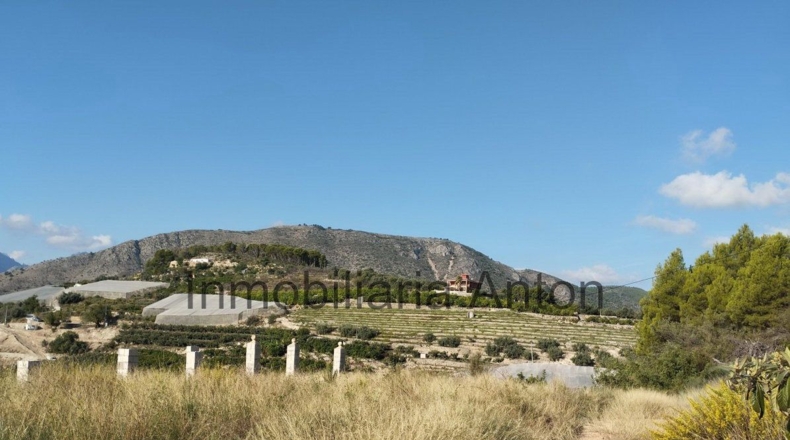 Alicante - Bolulla - 5376m2