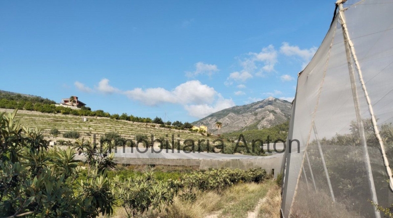 Alicante - Bolulla - 5376m2