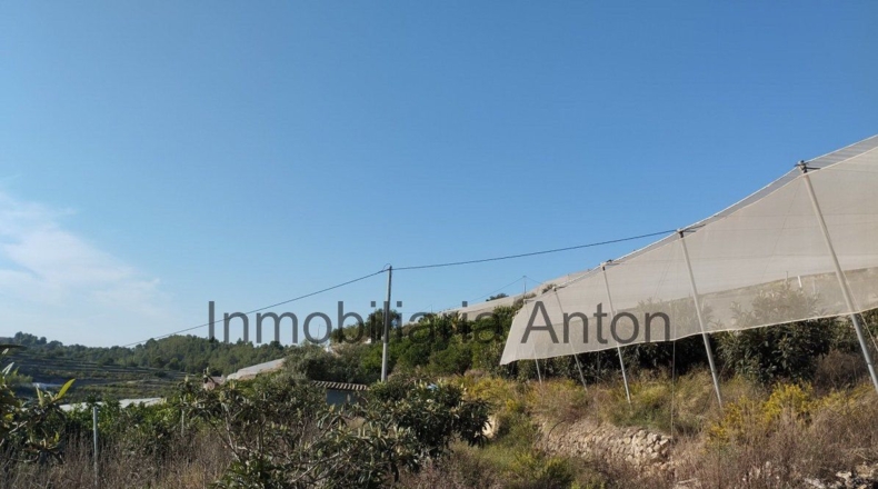 Alicante - Bolulla - 5376m2