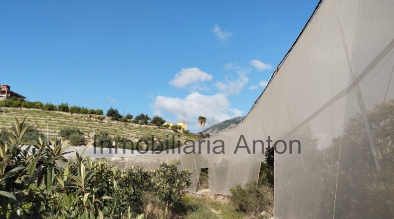 Alicante - Bolulla - 5376m2