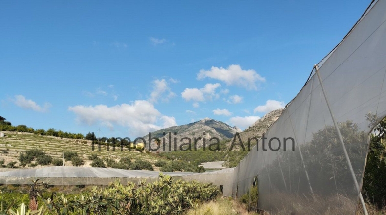 Alicante - Bolulla - 5376m2
