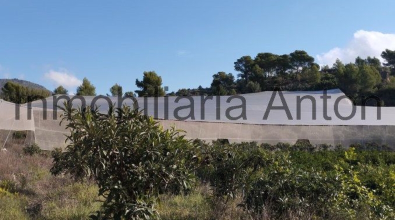 Alicante - Bolulla - 5376m2