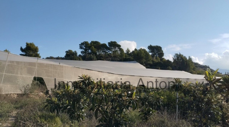 Alicante - Bolulla - 5376m2