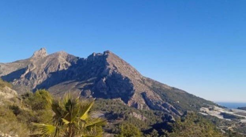 Alicante - Bolulla - 5376m2