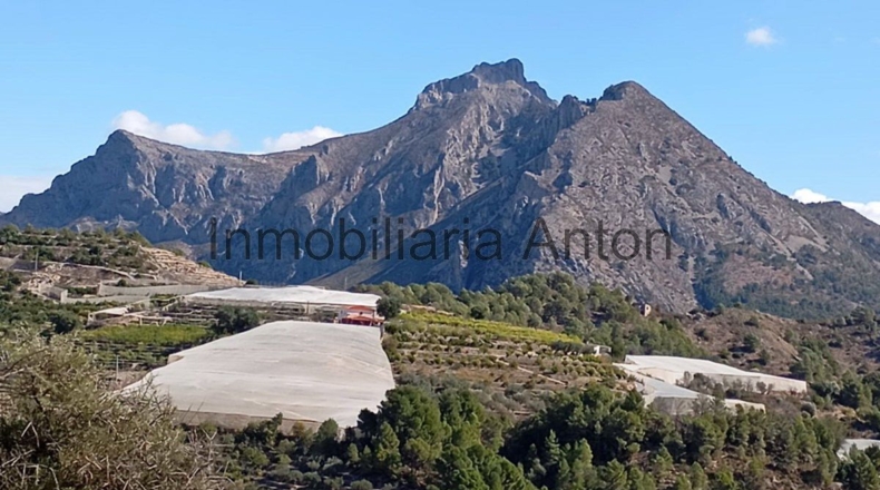 Alicante - Callosa de Ensarriá - 813m2