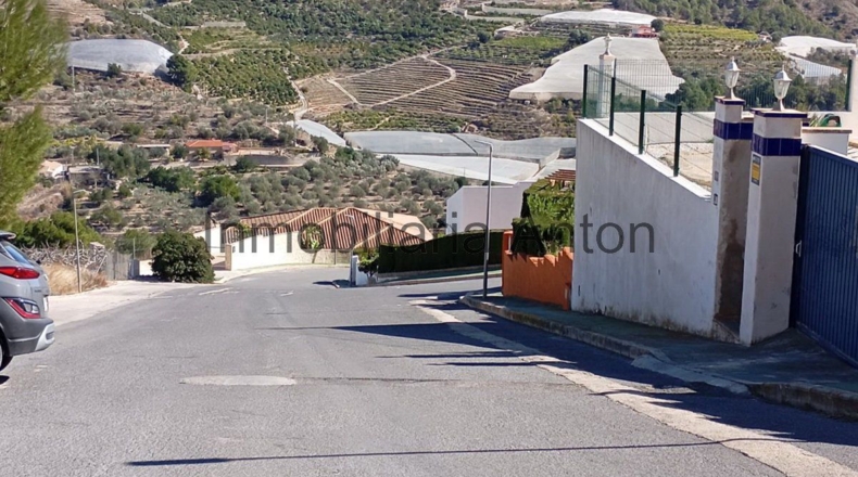 Alicante - Callosa de Ensarriá - 813m2