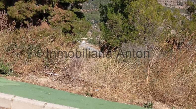 Alicante - Callosa de Ensarriá - 813m2