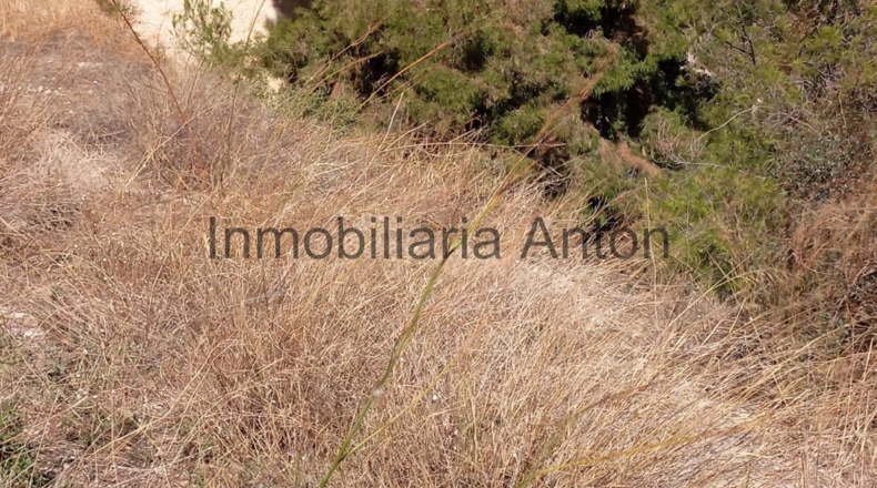 Alicante - Callosa de Ensarriá - 813m2