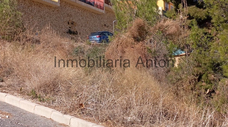 Alicante - Callosa de Ensarriá - 813m2