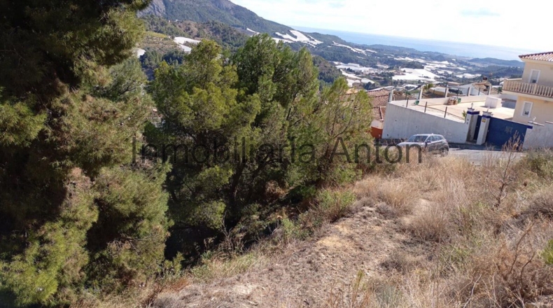 Alicante - Callosa de Ensarriá - 813m2
