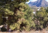 Sòl urbà en venda a Callosa d'en Sarrià ref.: TR103285 foto
