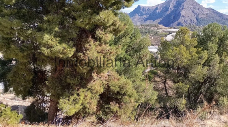 Alicante - Callosa de Ensarriá - 813m2