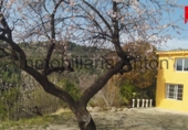 Finca rústica en venda a Beniardà ref.: TR199137 foto