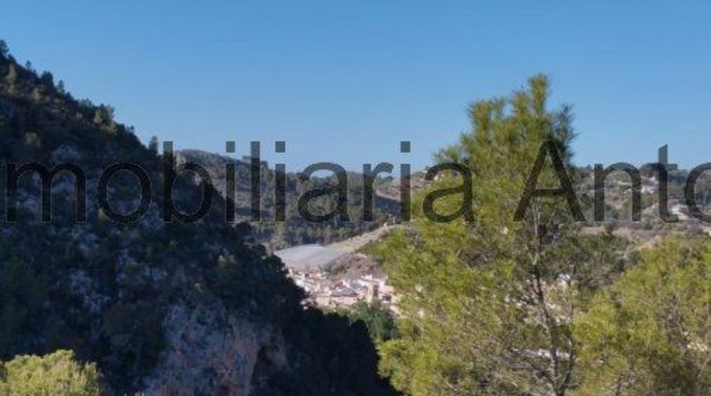 Alicante - Bolulla - 23709m2