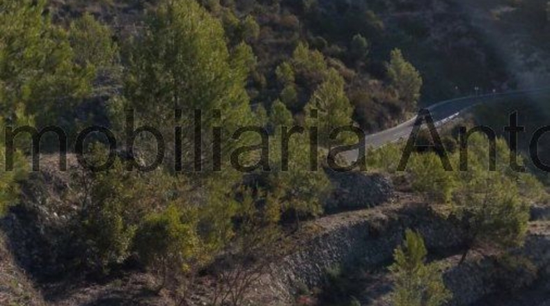 Alicante - Bolulla - 23709m2